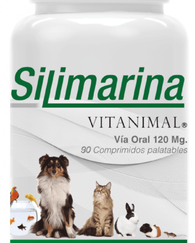 Silimarina 120 Mg Envase 90 Comprimidos